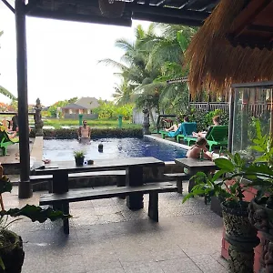  Hostel Paddy Hostel&villa